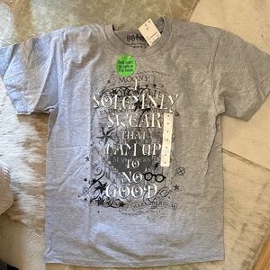 NWT Harry Potter "I Solemnly Swear" Grey Graphic Tee